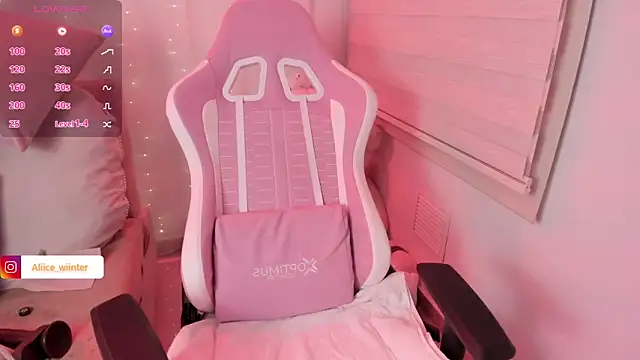 Alice_winter_ webcam