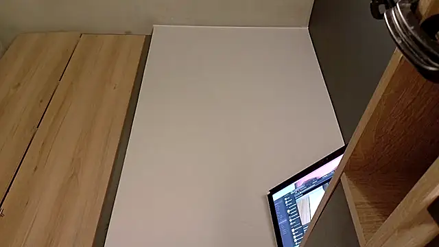 RoyalNerfititi webcam