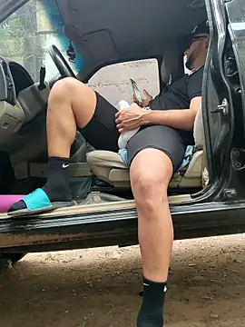 Preview of pighighdirty_p0