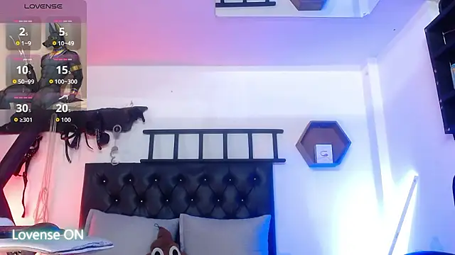 subarashi_ishi69 webcam