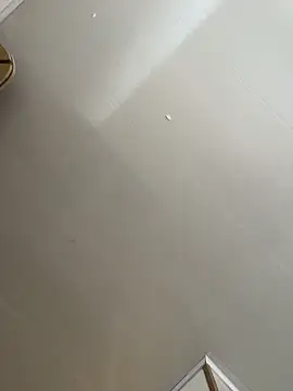 Violeet-Smith webcam