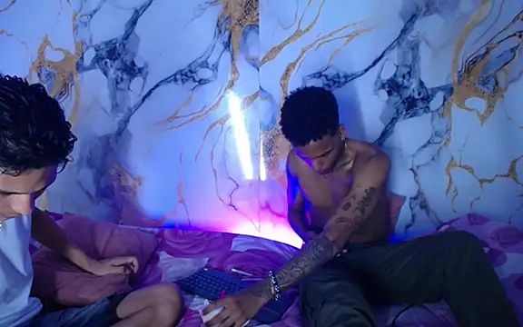 Damian_and_theo webcam