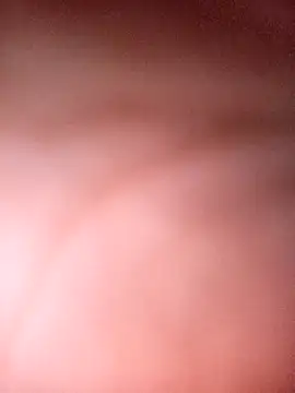 SOLTEIRASIGILO webcam