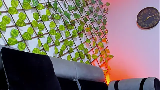 MAXIMUS_MASTER_ webcam