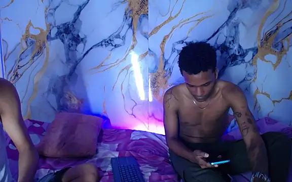 Damian_and_theo webcam