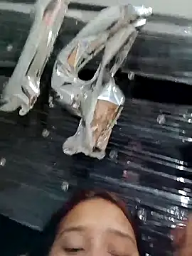 young_dairy01 webcam