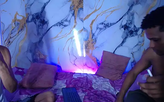 Damian_and_theo webcam