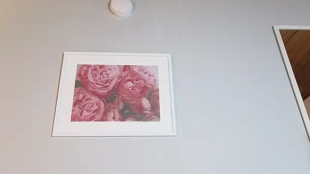 Elecktra_sweet webcam