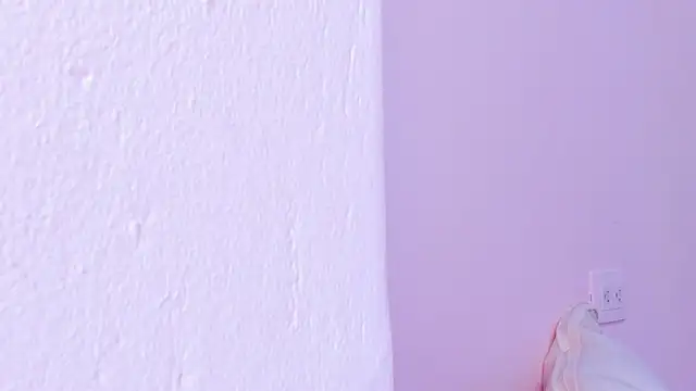 victoria_lawrence_ webcam