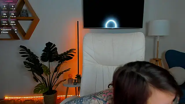Ariell_Mini webcam