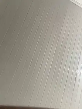 Tavinho (Tavinho067)