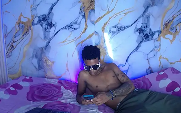 Damian_and_theo webcam