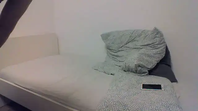 p13f - P13F's free webcam