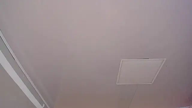 lauren_bigboobs22 webcam