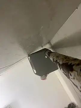 Mrlaythedickdown webcam