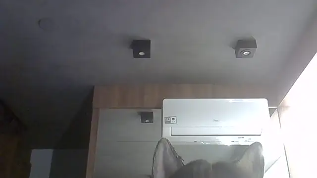 SkinnyKitten webcam