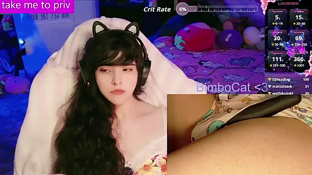 BimboCat webcam