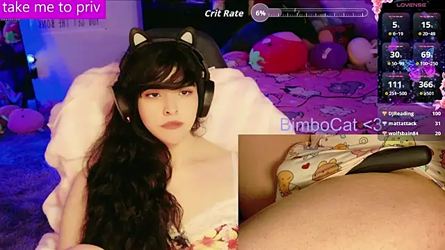 BimboCat webcam