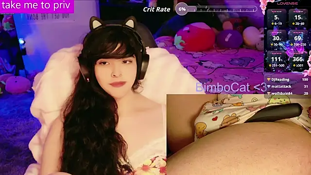 BimboCat webcam
