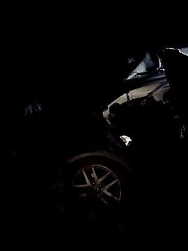 FloppyPickle4u webcam