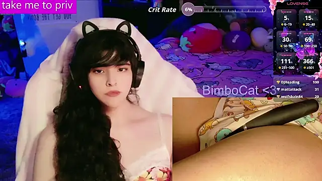BimboCat webcam