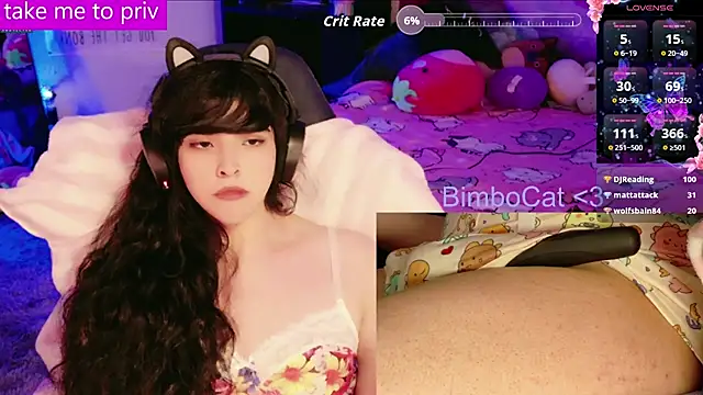 BimboCat webcam