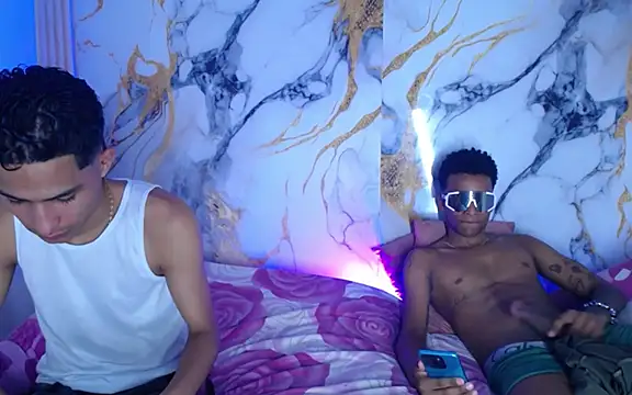 Damian_and_theo webcam