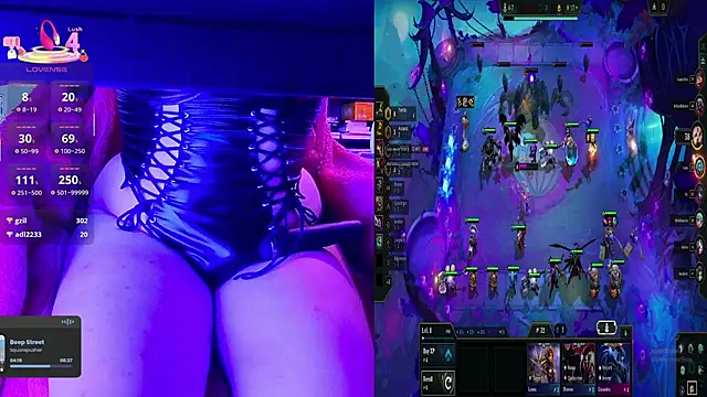 baileymonarch webcam