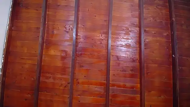 Dante_Ferrara2025 webcam