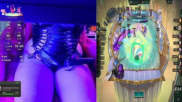 baileymonarch webcam