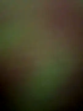 nandani-758 - Nandani-758's free webcam - UK Sex Cams