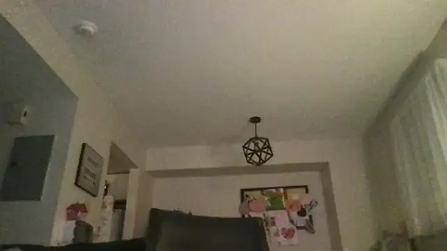 thedevinemama webcam