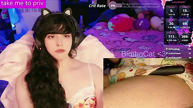 BimboCat webcam