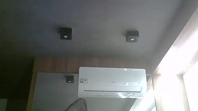 SkinnyKitten webcam