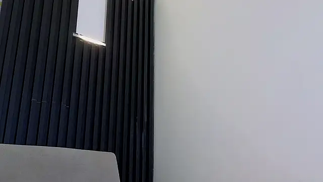 dulcetorresvg webcam