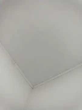 Preview of rafaelquinteroscavalhei