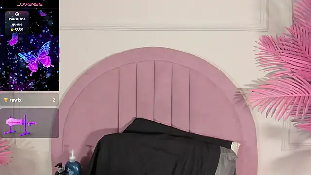 Tamaramilleer webcam