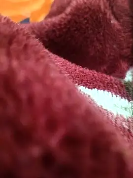 Dassing_strip_couple webcam