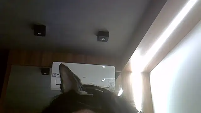 SkinnyKitten webcam
