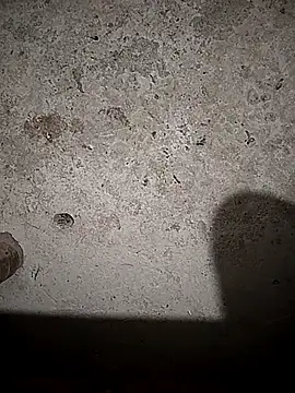 Raj-rajendri__sexy24 webcam