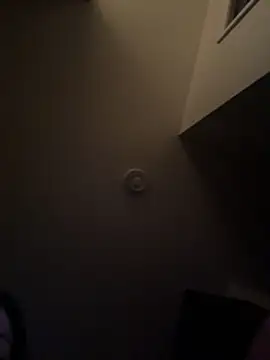 Preview of annablisss