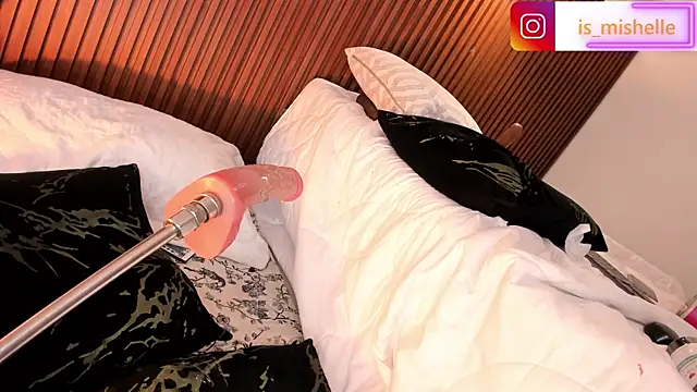 _mishelle webcam