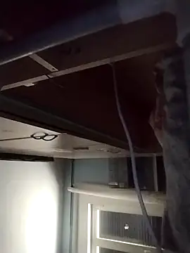 Francescodicristina44 webcam