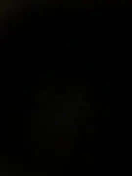 SergiaDIOR_TS webcam