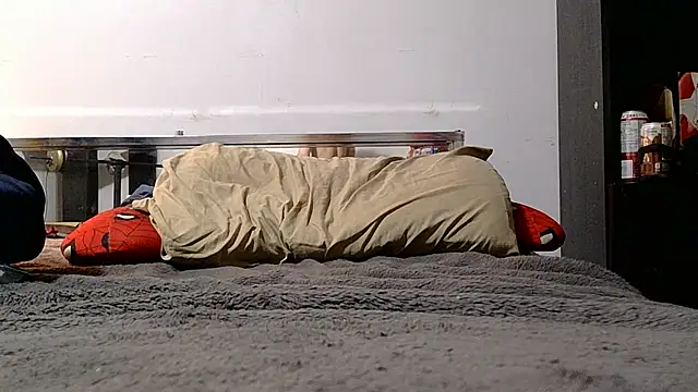 LilWhyteBoiGamer webcam