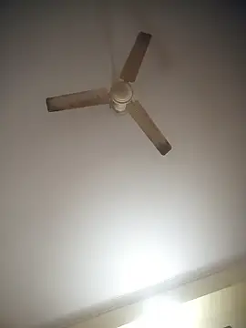 indianshycouple webcam