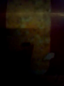 CockForPussy1508 webcam