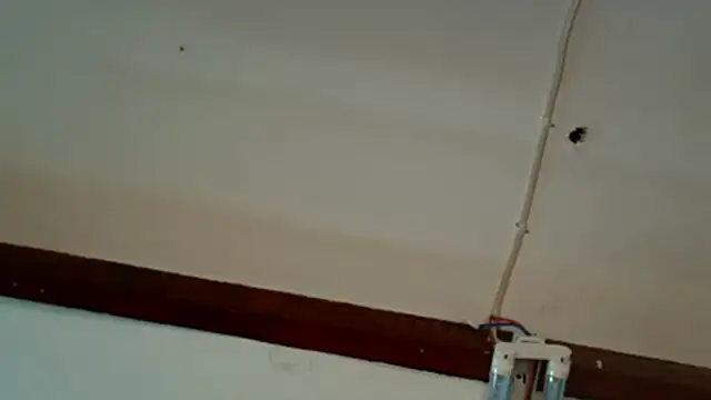 BlackBunnyxoxo webcam