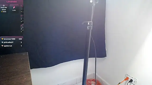 Billie_Eilish___ webcam