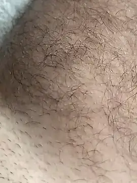 Preview of pegaso369